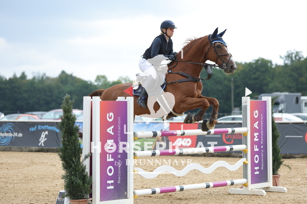 0P6A6558 | Willkommen bei Brunnmayr - Design & Fotografie – Ihrem Spezialisten für Reitturniere und Pferdeveranstaltungen in Oberösterreich, Salzburg und Bayern! Seit über 17 Jahren sind wir leidenschaftlich dabei.