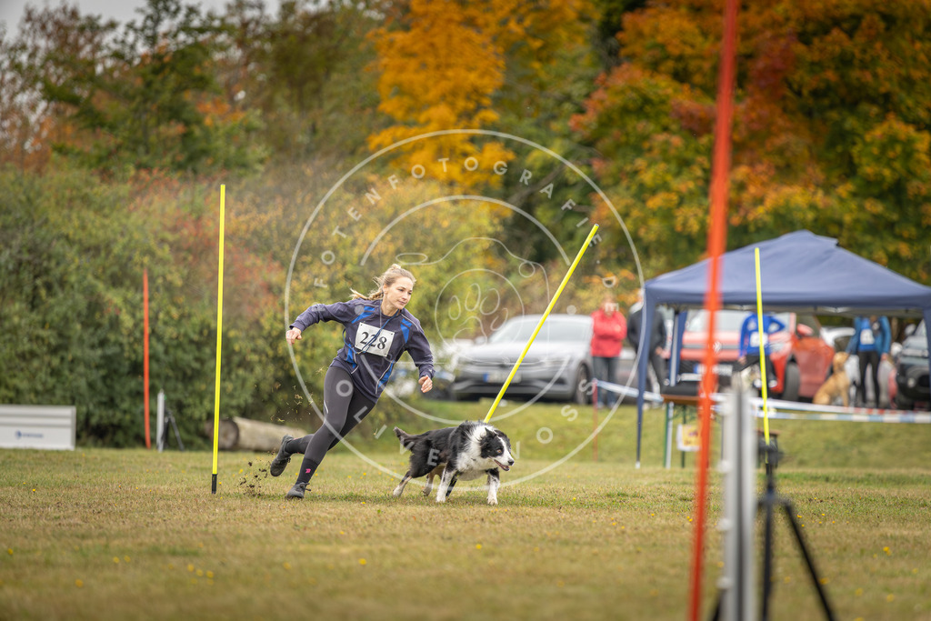 Pfotenfotografie_DV3A4045 | Hundefotografie, Tierfotograf, Pfotenfotografie, Fotoshooting Hund, Hunde Portrait, Hundesport, Hundeportraits, Heideshooting, Hunde, Sportfotograf, Hundefotograf, Turnierhundsport, THS,  - Realisiert mit Pictrs.com