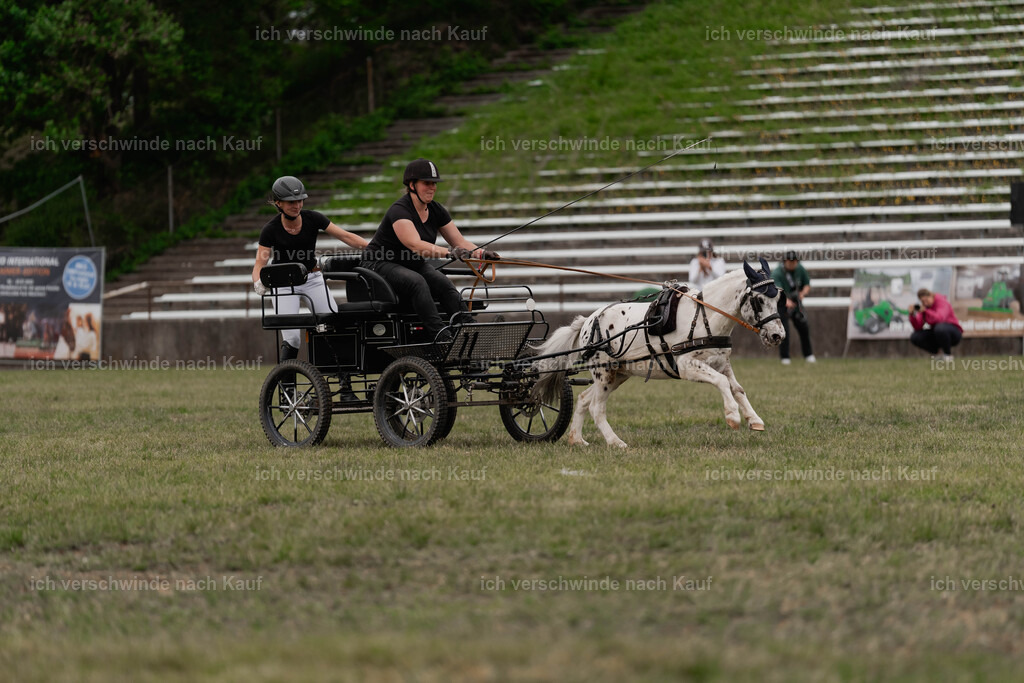 Showprogramm-511 | working equitationturnier fotograf videograf stoibphotography marixx film working equitation deutschland reitsport turnierfotografie eventfotografie equestrian events