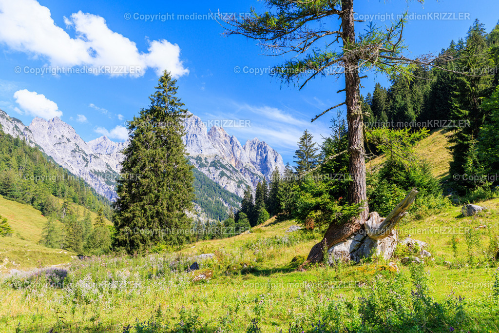 Nationalpark Berchtesgaden | medienkrizzler - Realisiert mit Pictrs.com
