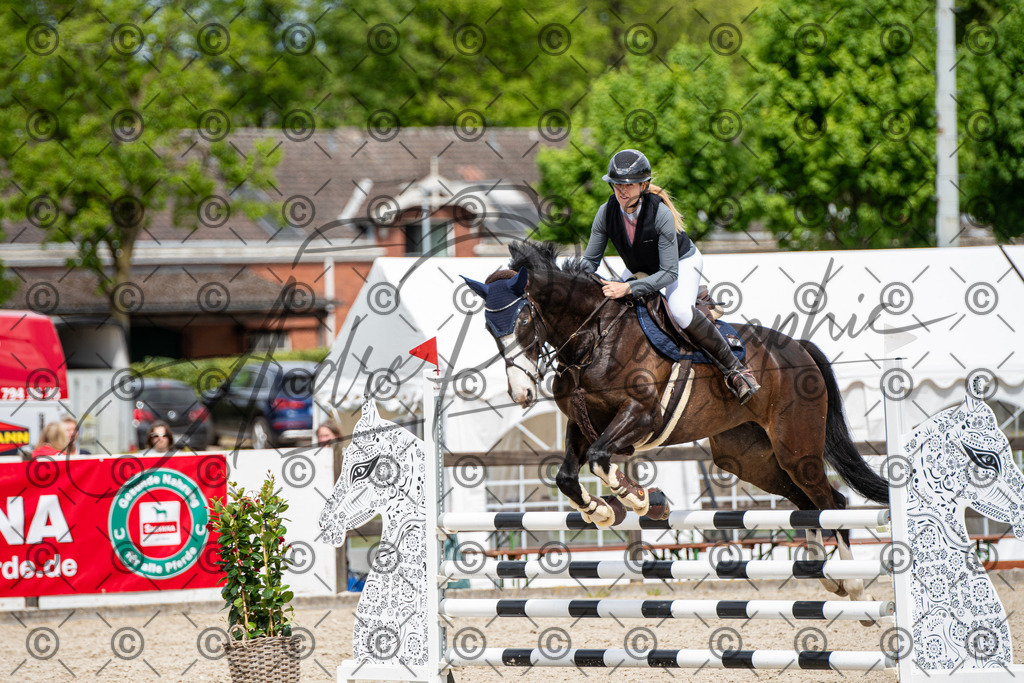 KPT_5363 | andre_photographic