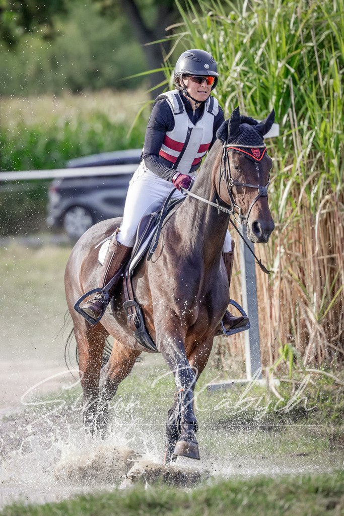 20250906-_3LI7520 | Tierfotografie Pferde, Hunde, Katzen, Haustiere.
Turnierfotografie Reitturniere, Reiten, Springreiten, Dressur in Hanau, dem Main-Kinzig-Kreis und dem Rhein-Main- Gebiet um Frankfurt