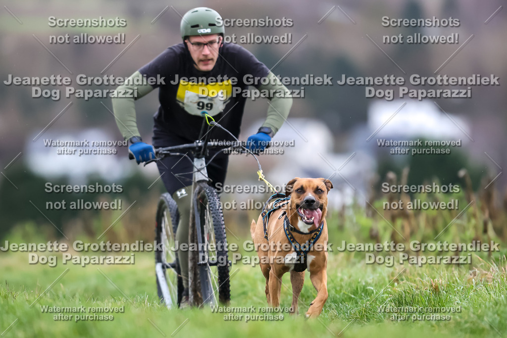Dog Paparazzi - Herkules Race  2025-31 | Dog Paparazzi Jeanette Grottendiek Fotografie & Videografie - Realisiert mit Pictrs.com
