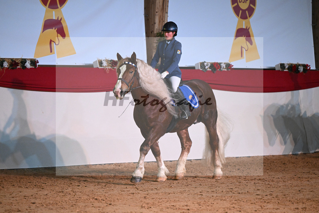 Kaltblutquadrille_1234576 | hf-fotografie - Realisiert mit Pictrs.com