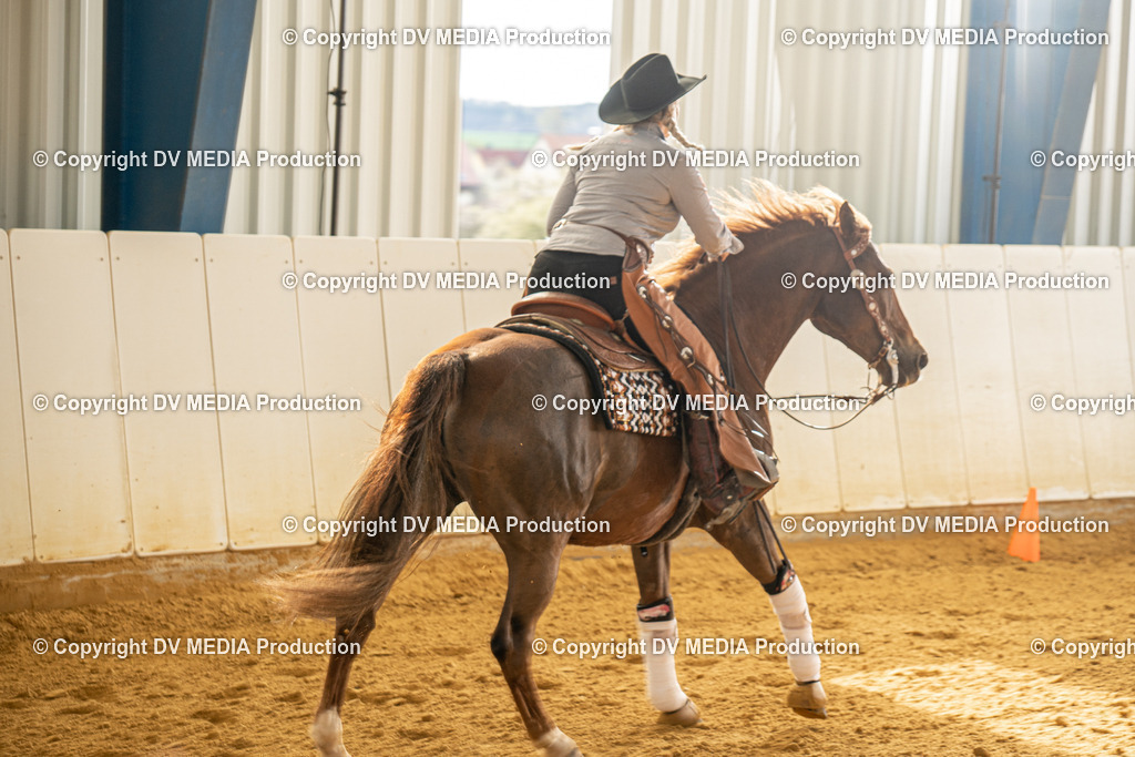 MIT00713 | dv-media-shop - Realisiert mit Pictrs.com