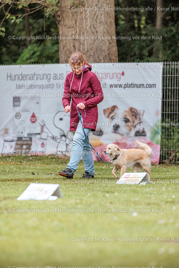 RO-Blumenthal-2026-Nickbest-Hundefotografie-0622 | Dein Hund! Dein Moment! Deine Erinnerungen! Hundefotografie in Bremen Blumenthal. Ich fange die besonderen Momente deines Vierbeiners ein – ob Indoor mit Blitzanlage oder in der freien Natur. Sicher dir dein Moment und dein Termin für eure Erinnerungen.
