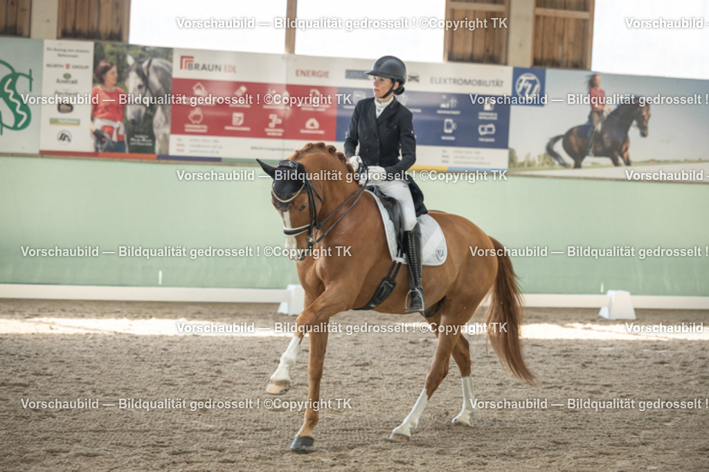 _D5A1010 | Emotionale Pferde- & People-Fotografie rund um Heidelberg, Leimen & Umgebung. Natürliche Fotos von Pferd, Mensch & Familie. Jetzt Termin sichern!