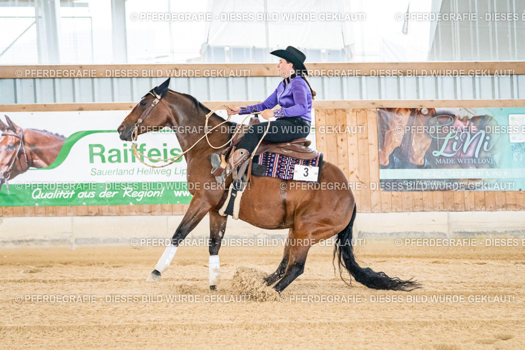 DSC06193 | Pferdegrafie