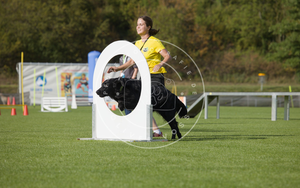 0L8A3857 | Hundefotografie, Tierfotograf, Pfotenfotografie, Fotoshooting Hund, Hunde Portrait, Hundesport, Hundeportraits, Heideshooting, Hunde, Sportfotograf, Hundefotograf, Turnierhundsport, THS,  - Realisiert mit Pictrs.com