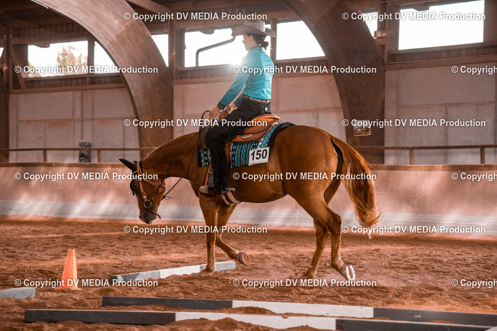 NE200113 | dv-media-shop - Realisiert mit Pictrs.com