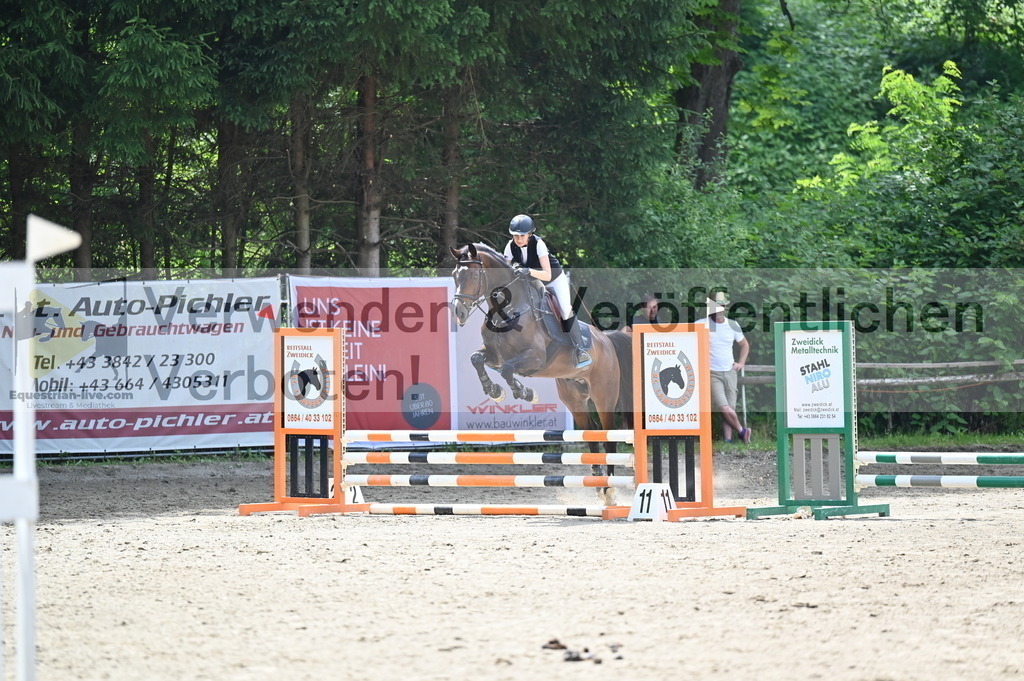 DSC_4217 | equestrian-live-com