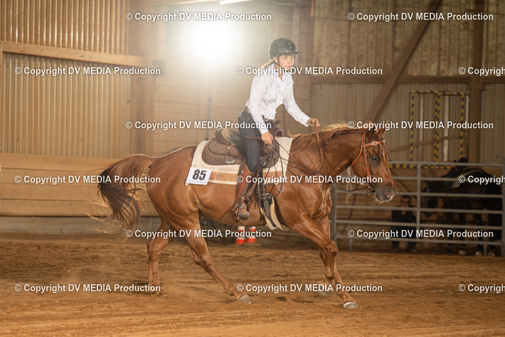 NID03896 | dv-media-shop - Realisiert mit Pictrs.com