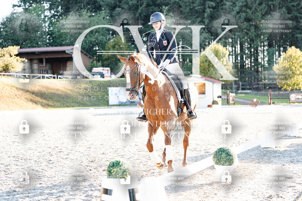CK907271 | Turnierfotografie Pferdefotografie Trier Rheinland-Pfalz Pferdesport Reitsport Tierfotografie Sportfotografie Pferdevideo Pferdevideografie Equestrianvideography equestrianphotography  - Realisiert mit Pictrs.com