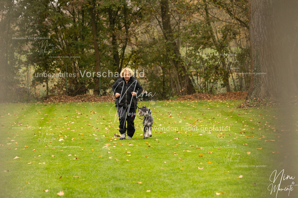 _16A0611 | Einzigartige Fotos von Hunden & Menschen –Actionfotos, Portraits, Vereinsaufnahmen & Paarshootings – authentisch, lebendig & mit Herz.