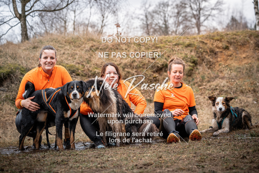 nelerasche_1330-1400_33 | nelerasche