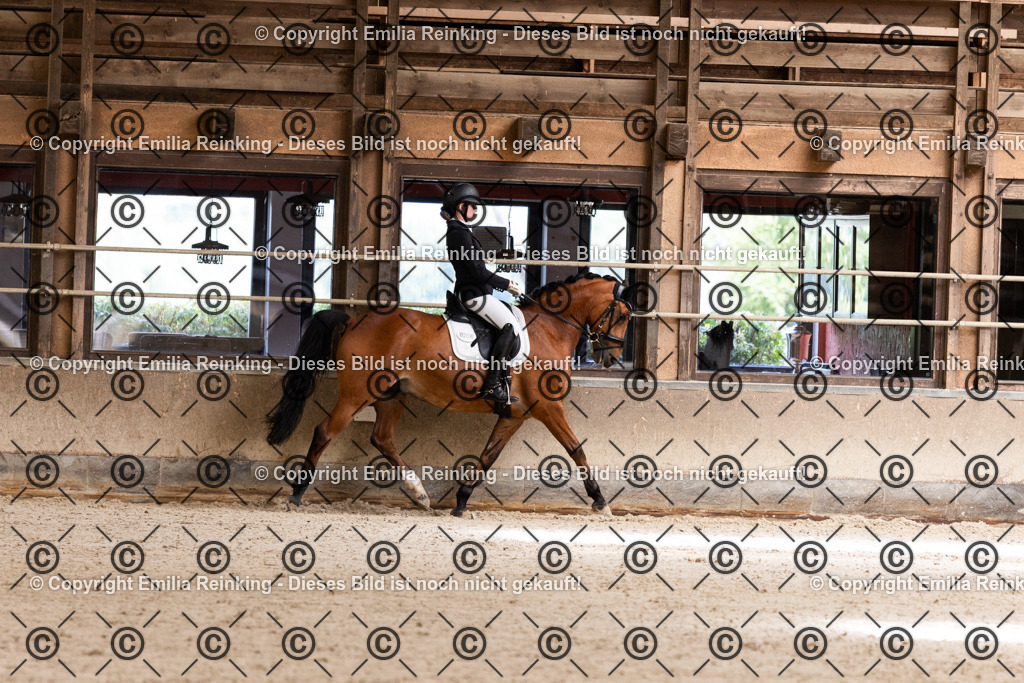 CL5A3895 | Emilia Reinking Fotografie - Realisiert mit Pictrs.com