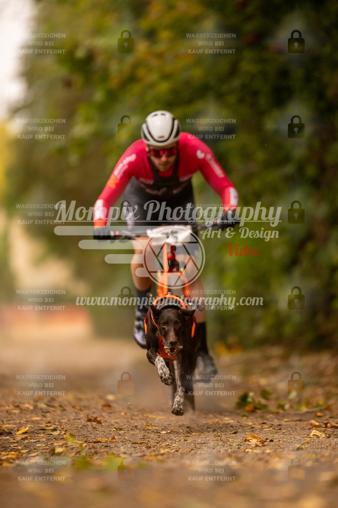 CDLBDB_14_10_2023_Samedi-105 | PayLife