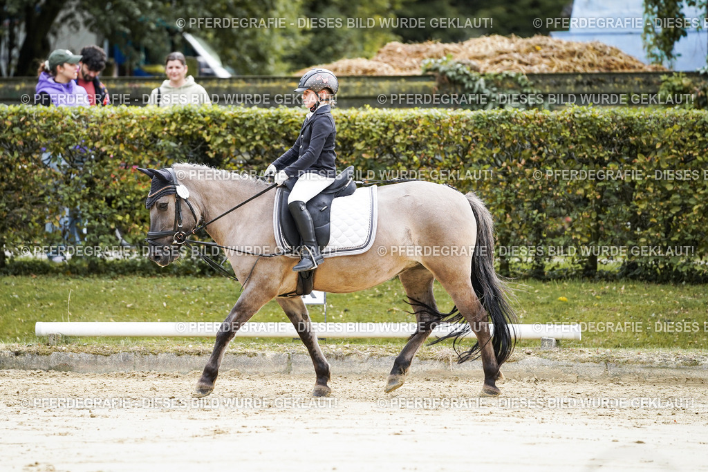 DSC05486 | Pferdegrafie