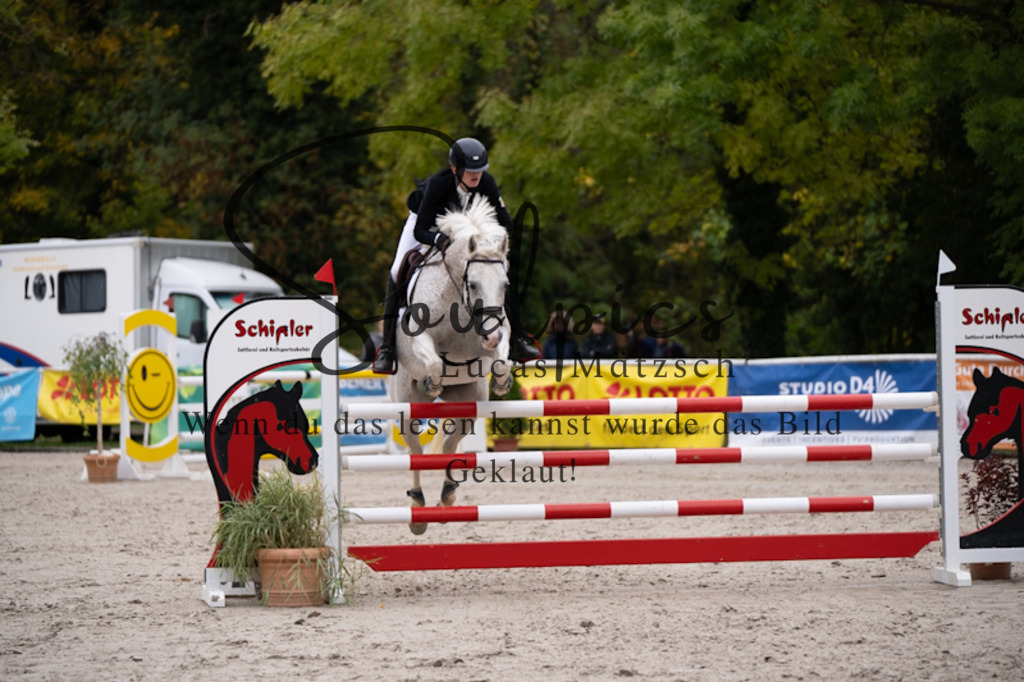 A7V09211 | Pferdefotograf