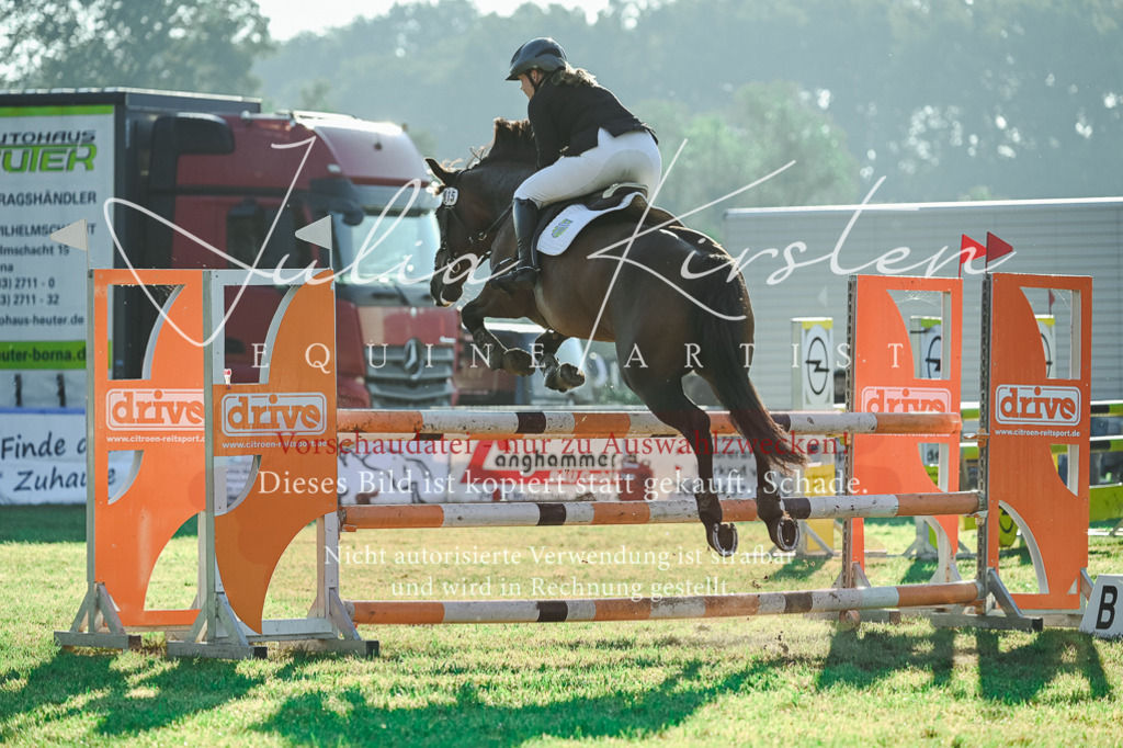 DSC_4283 | Pferde- und Turnierfotografie in Westsachsen. Pferdeportraits, Auftragszeichnungen und intuitive Kunst.