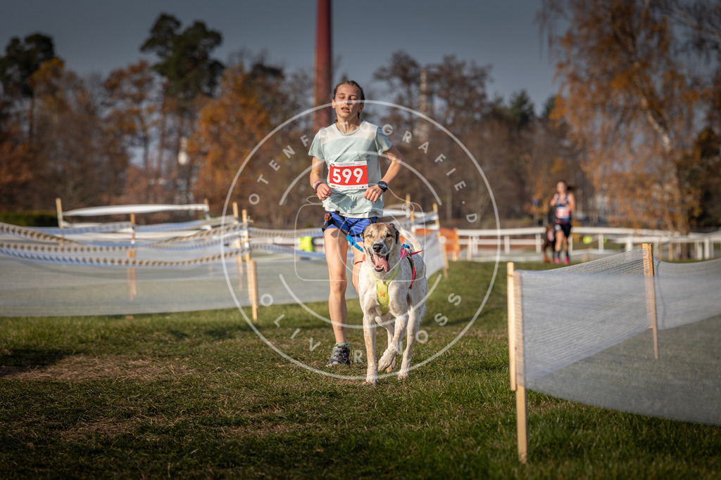 CaniXpix_0L8A0029 | Hundefotografie, Tierfotograf, Pfotenfotografie, Fotoshooting Hund, Hunde Portrait, Hundesport, Hundeportraits, Heideshooting, Hunde, Sportfotograf, Hundefotograf, Turnierhundsport, THS,  - Realisiert mit Pictrs.com