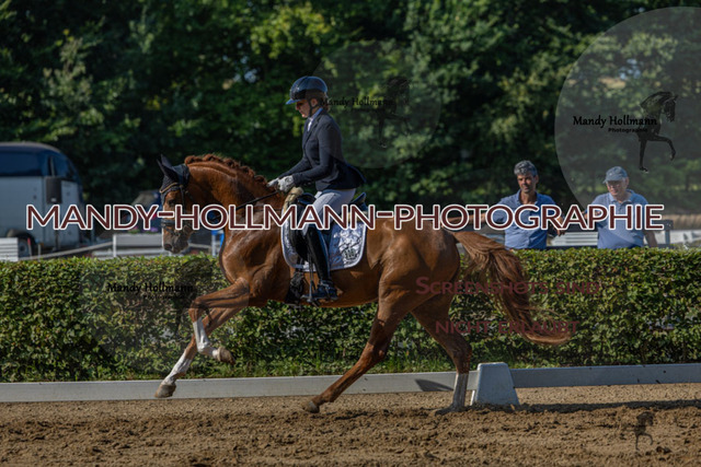 15.8.25 D1 RPF 3j (244 von 255) | mandyhollmannphotographie