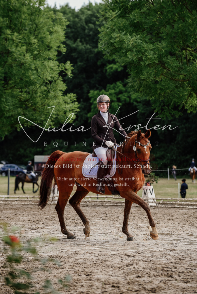 DSC_9671 | Pferde- und Turnierfotografie in Westsachsen. Pferdeportraits, Auftragszeichnungen und intuitive Kunst.