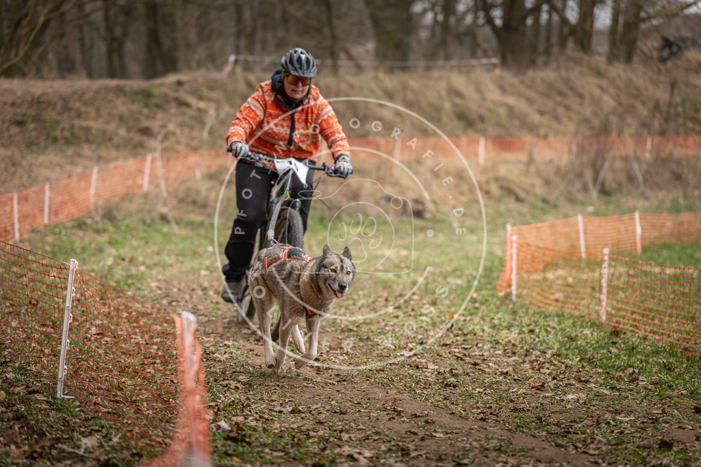 Pfotenfotografie_DV3A6932 | Hundefotografie, Tierfotograf, Pfotenfotografie, Fotoshooting Hund, Hunde Portrait, Hundesport, Hundeportraits, Heideshooting, Hunde, Sportfotograf, Hundefotograf, Turnierhundsport, THS,  - Realisiert mit Pictrs.com