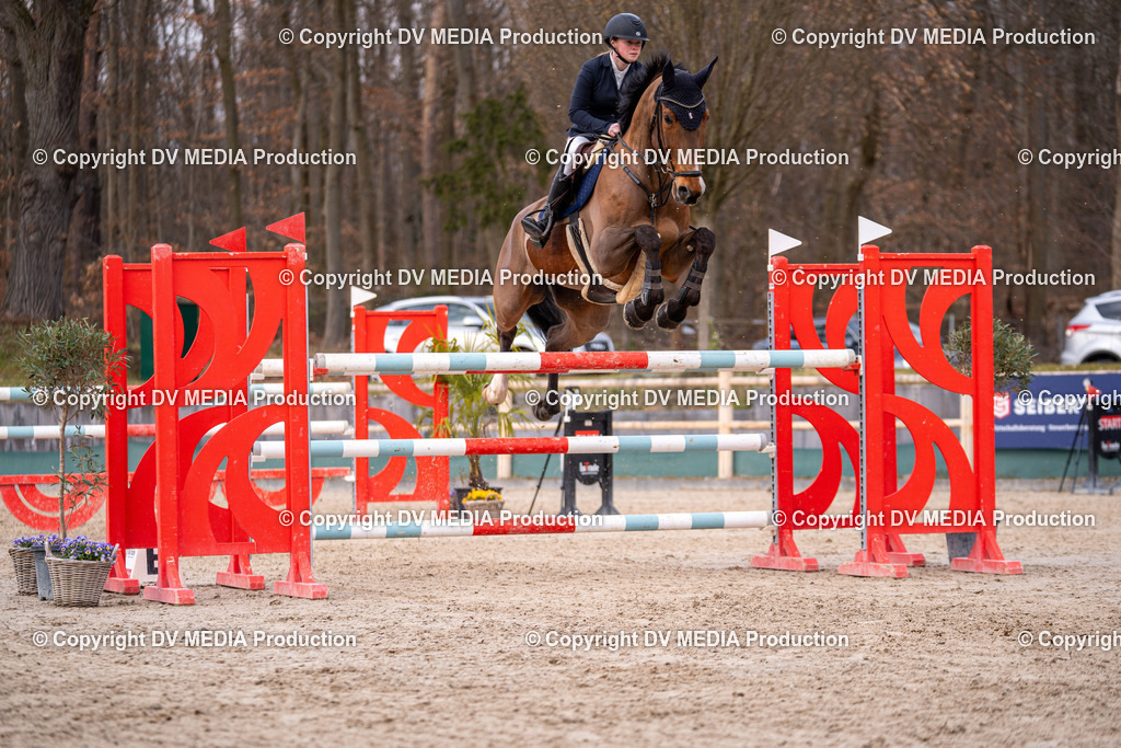 Kranichstein Tag 2-2289 | dv-media-shop - Realisiert mit Pictrs.com