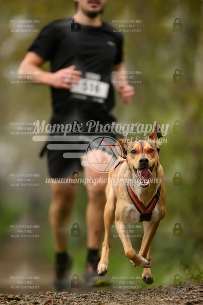 MompixPhotography_20TSB_E6_Run-64 | PayLife