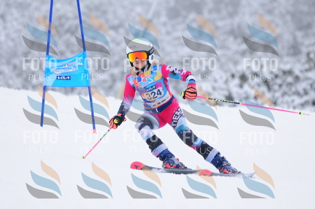 C3456 | holidayphoto