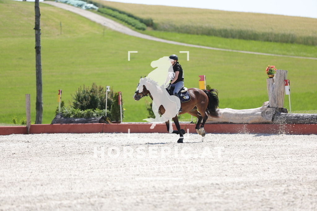 0P6A3471 | Willkommen bei Brunnmayr - Design & Fotografie – Ihrem Spezialisten für Reitturniere und Pferdeveranstaltungen in Oberösterreich, Salzburg und Bayern! Seit über 17 Jahren sind wir leidenschaftlich dabei.