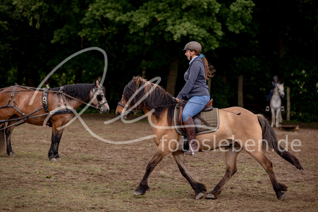846A0742 | fotosleben - Realisiert mit Pictrs.com
