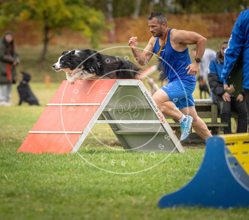 Pfotenfotografie_DV3A0204 | Hundefotografie, Tierfotograf, Pfotenfotografie, Fotoshooting Hund, Hunde Portrait, Hundesport, Hundeportraits, Heideshooting, Hunde, Sportfotograf, Hundefotograf, Turnierhundsport, THS,  - Realisiert mit Pictrs.com