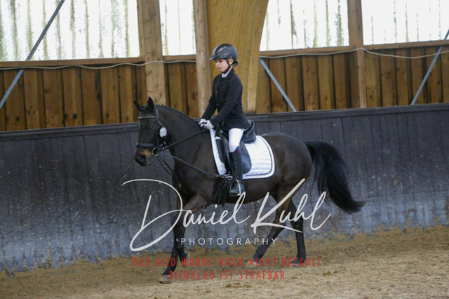 IMG_1493 | Turniersportfotografie; Pferdefotografie; Dressurfotografie