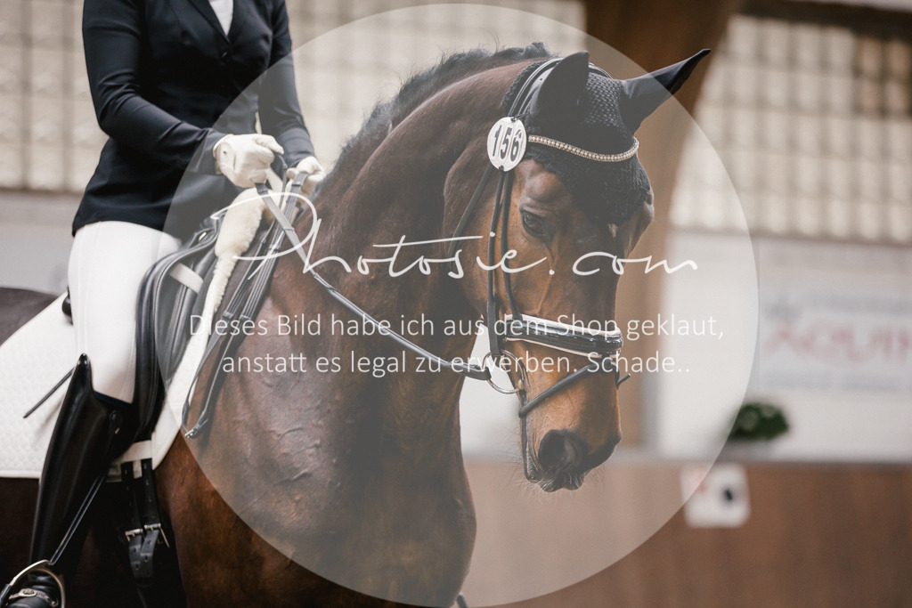 3I6A6790 | Stimmungsvolle Portraits und Reitsportfotografie im Ruhrgebiet und im Münsterland.

Pferdefotografie, Hundefotografie, Tierfotografie, Reportagen, Portraits von Tier und Mensch, Turnierfotografie in Bochum, Recklinghausen, Marl, Haltern am See, Dülmen.. - Realisiert mit Pictrs.com