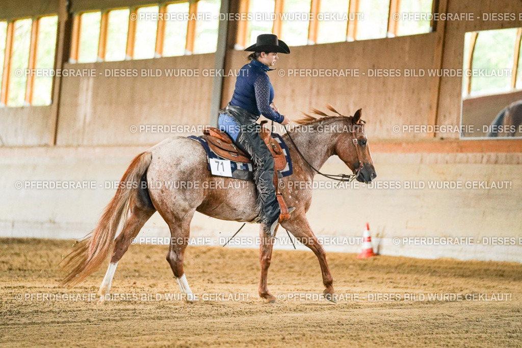 DSC05317 | Pferdegrafie