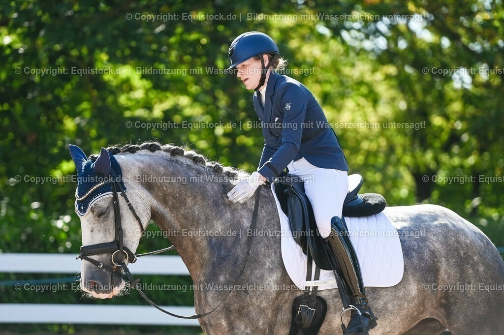 20230715_06_Dressurpferdeprfg. Kl.A_0322 | equistock