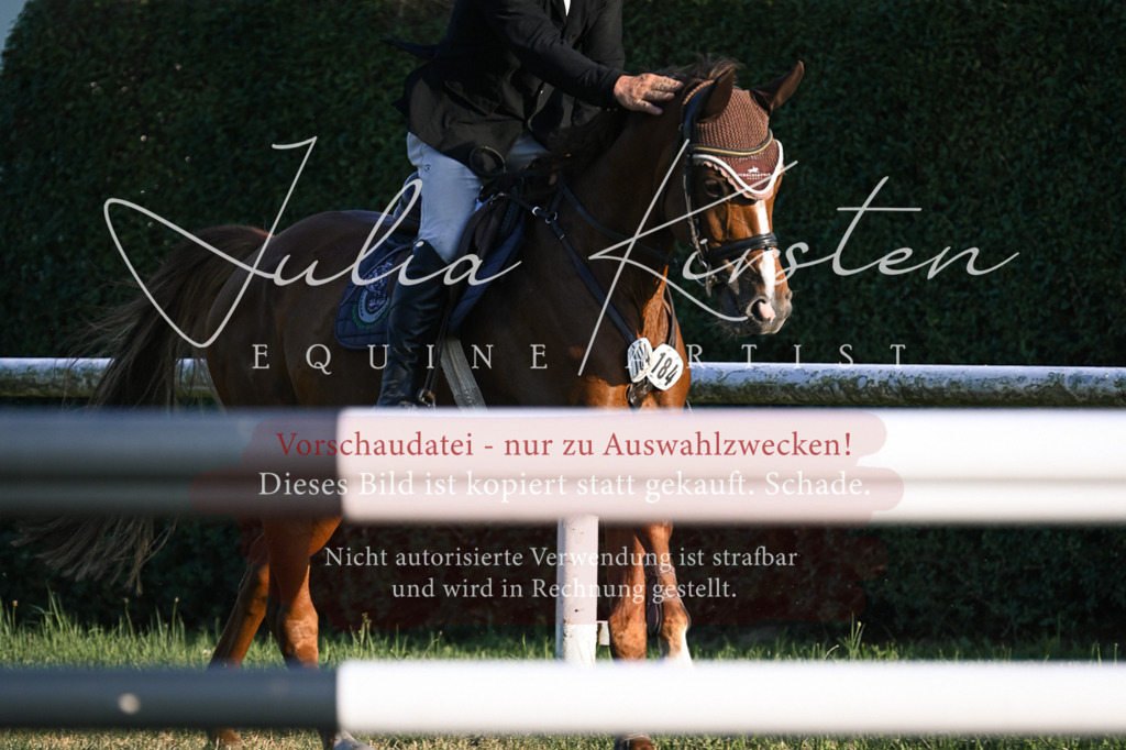 DSC_1958 | Pferde- und Turnierfotografie in Westsachsen. Pferdeportraits, Auftragszeichnungen und intuitive Kunst.