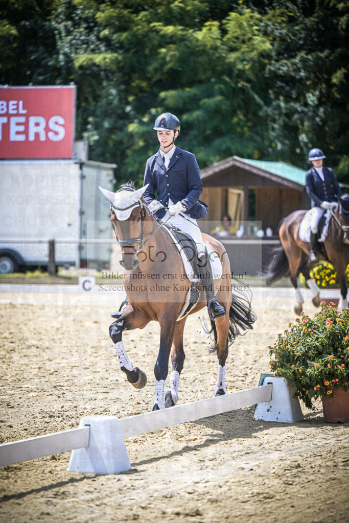 DOS_3613 | Entdecke hochwertige Reitturnierfotos von Foto Oger. Professionell, emotional und authentisch – jetzt Lieblingsmomente im Shop bestellen.Deutschlandweite Turnierfotografie. - Realisiert mit Pictrs.com