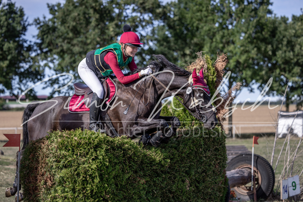 20260906-_3LI6214 | Tierfotografie Pferde, Hunde, Katzen, Haustiere.
Turnierfotografie Reitturniere, Reiten, Springreiten, Dressur in Hanau, dem Main-Kinzig-Kreis und dem Rhein-Main- Gebiet um Frankfurt