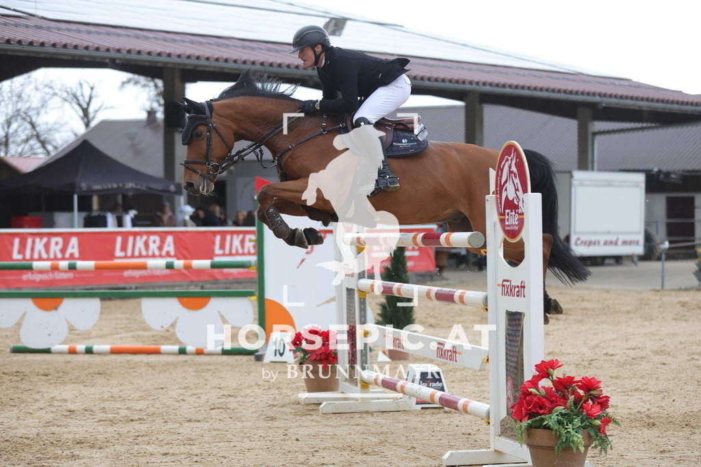 0P6A5424 | Willkommen bei Brunnmayr - Design & Fotografie – Ihrem Spezialisten für Reitturniere und Pferdeveranstaltungen in Oberösterreich, Salzburg und Bayern! Seit über 17 Jahren sind wir leidenschaftlich dabei.