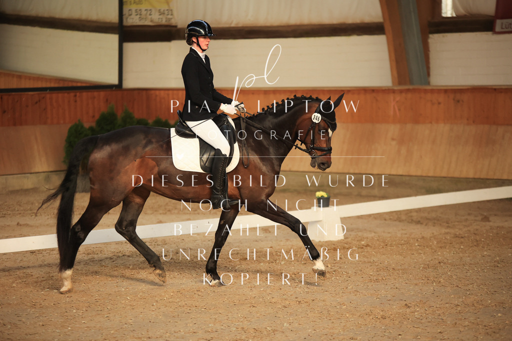 IMGT3465 | pl-fotografie