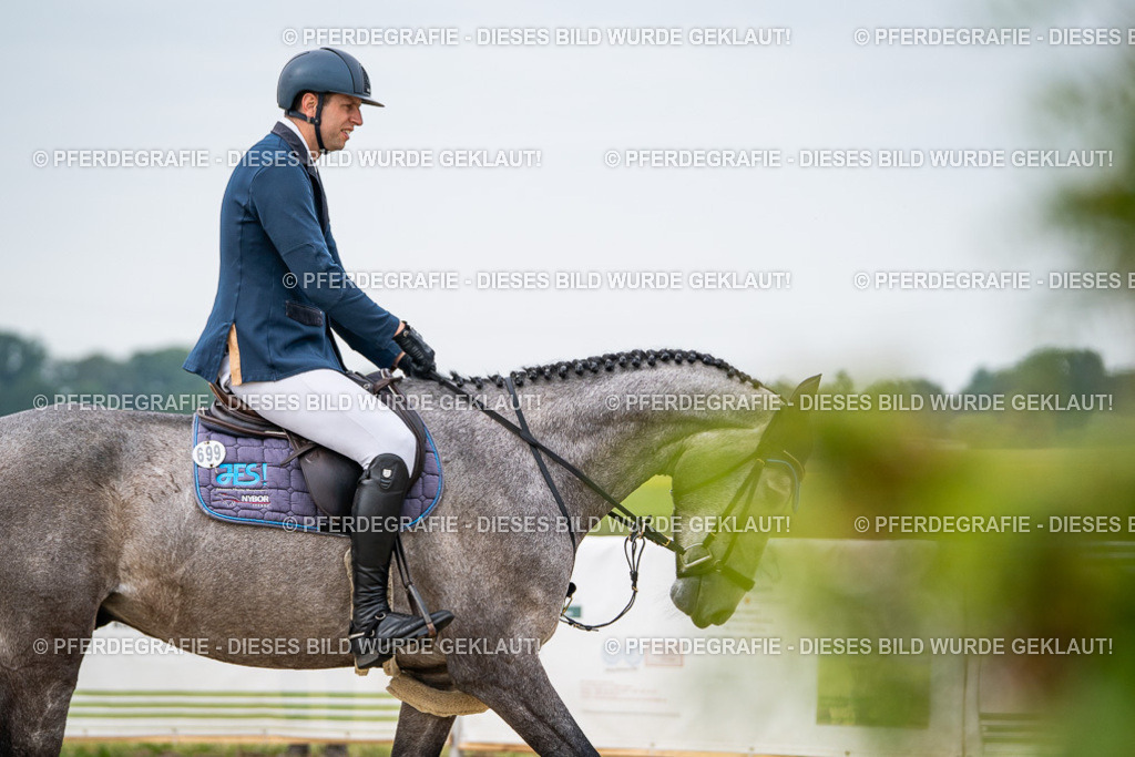 DSC09204 | Pferdegrafie