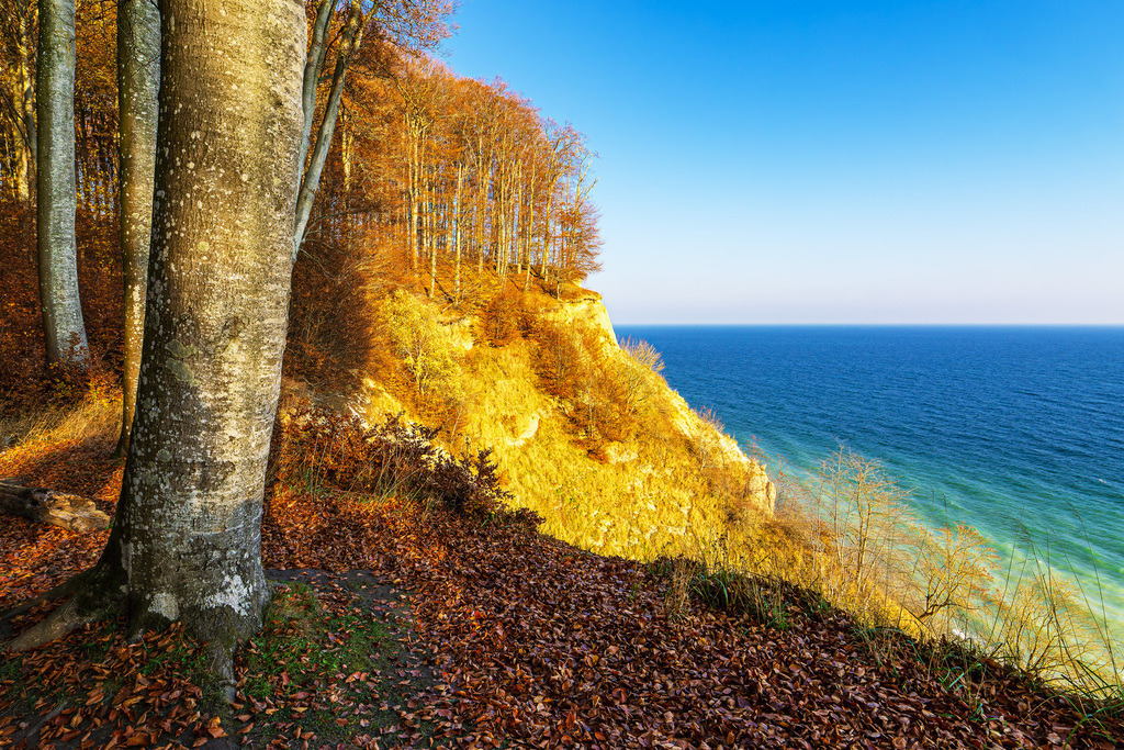 Kreidefelsen im Herbst an der Küste der Ostsee auf der Insel Rügen | Kreidefelsen im Herbst an der Küste der Ostsee auf der Insel Rügen.