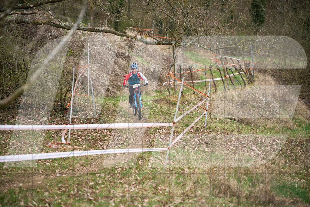 34. KTM Kamptal Trophy  | ZÖBING, Österreich – 2026-03-28: 34. KTM Kamptal TrophyFoto: © 2026 Martin Bihounek - MB Creative e.U.