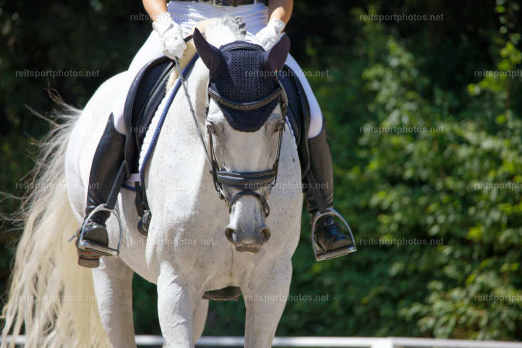 JHE_4948 | JoYa Fotografie - Realisiert mit Pictrs.com