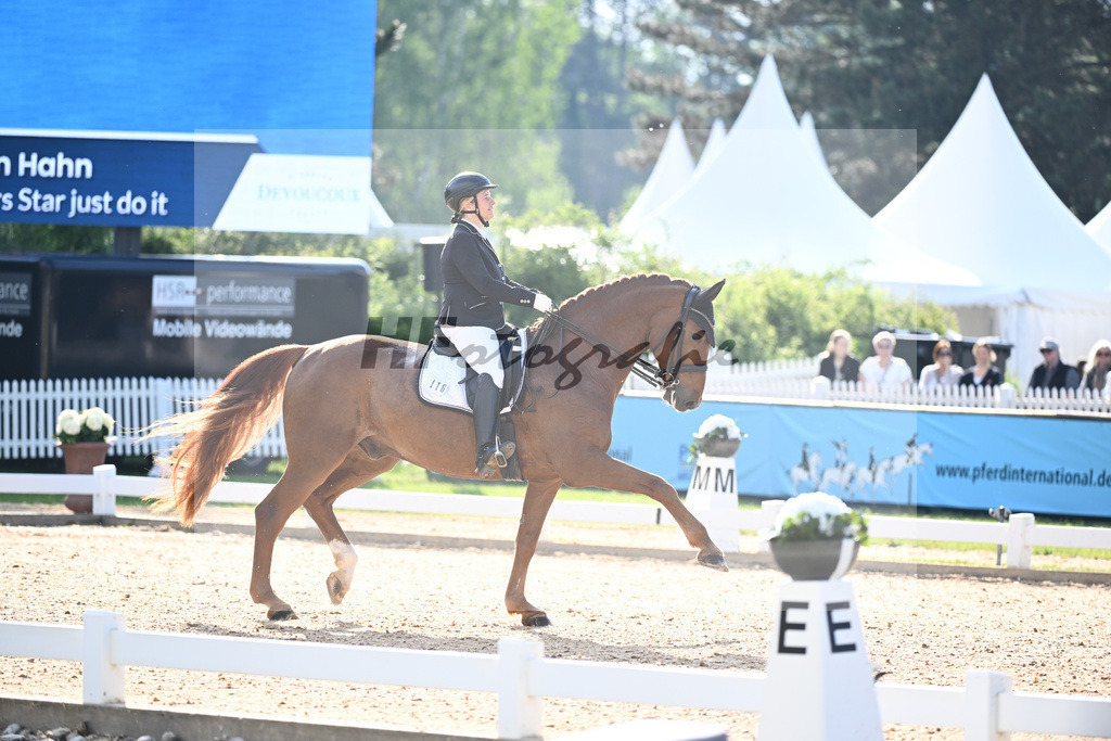 Hahn_Fathers Star just do it_12241432 | hf-fotografie - Realisiert mit Pictrs.com