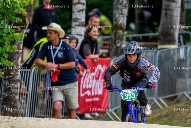 BayBMX2026-05339 | Fotogalerie von Thomas Dettweiler mit Eventbildern und lizenzfreien Fotos. Perfekt als Wandbild, für Büro, Website oder private Nutzung. - Realisiert mit Pictrs.com