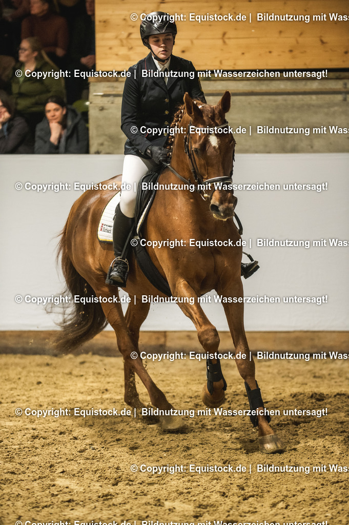 20240302_Hengstvorstellung_Marbach_TOMsPiC_1367 | equistock